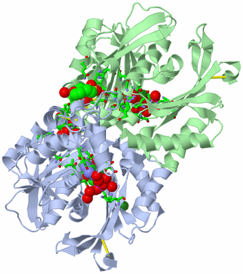 Image Asym./Biol. Unit - sites