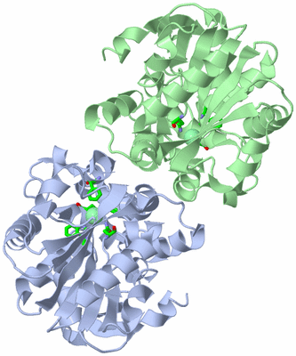 Image Asym./Biol. Unit - sites