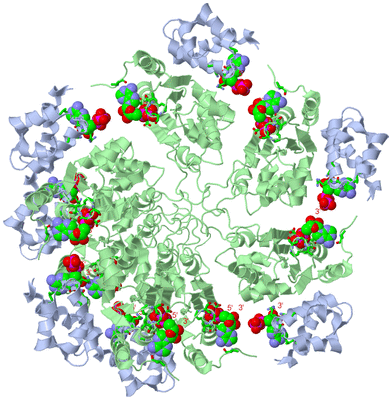 Image Biol. Unit 1 - sites