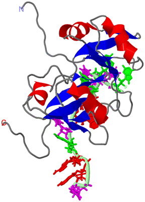 Image NMR Structure - model 1