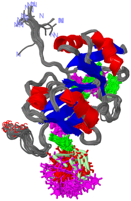 Image NMR Structure - all models