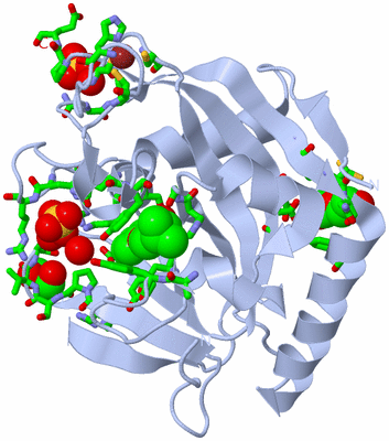 Image Biol. Unit 1 - sites