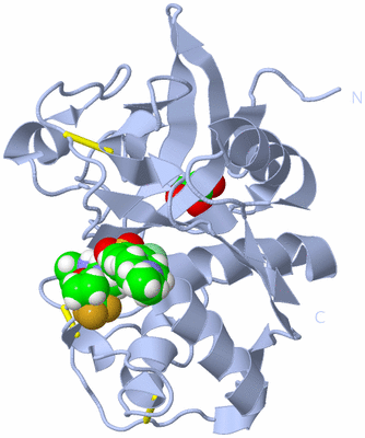 Image Biological Unit 1