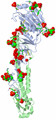 Image Asym. Unit - sites