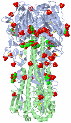 Image Biological Unit 1