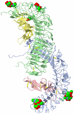 Image Biol. Unit 1 - sites