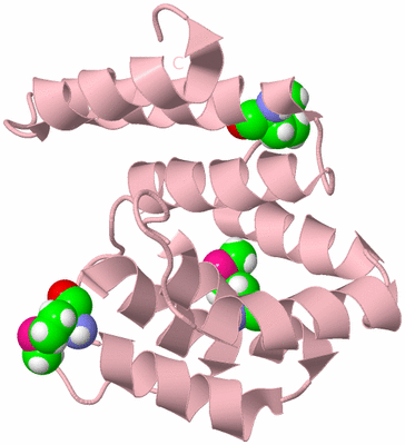 Image Biological Unit 3