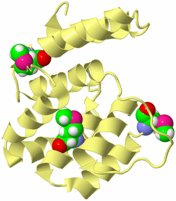 Image Biological Unit 4