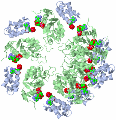 Image Biological Unit 1