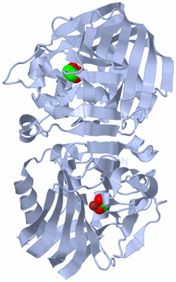 Image Biological Unit 1