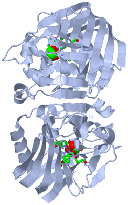 Image Biol. Unit 1 - sites