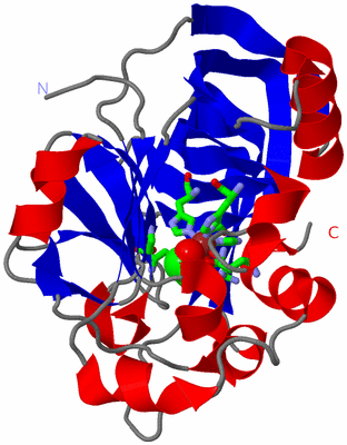 Image Asym. Unit - sites