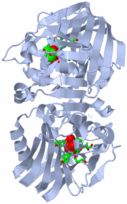 Image Biol. Unit 1 - sites