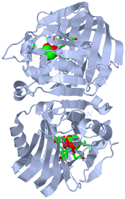 Image Biol. Unit 1 - sites