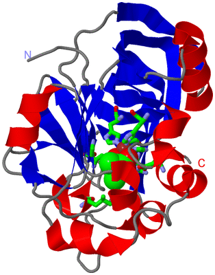 Image Asym. Unit - sites