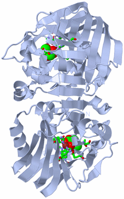 Image Biol. Unit 1 - sites