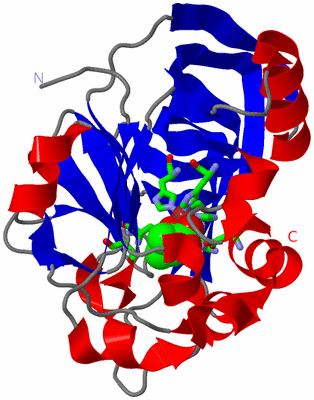 Image Asym. Unit - sites