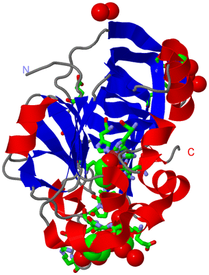 Image Asym. Unit - sites