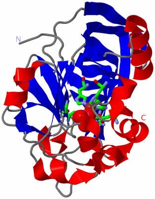 Image Asym. Unit - sites