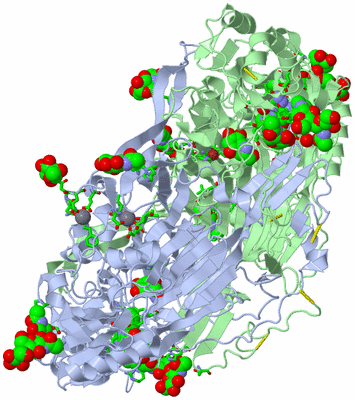 Image Asym./Biol. Unit - sites