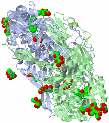 Image Asym./Biol. Unit