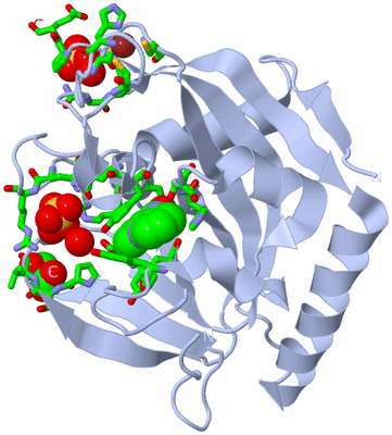 Image Biol. Unit 1 - sites