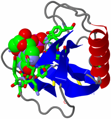 Image Asym./Biol. Unit - sites