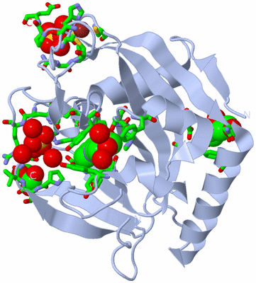 Image Biol. Unit 1 - sites