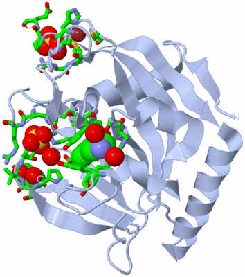 Image Biol. Unit 1 - sites