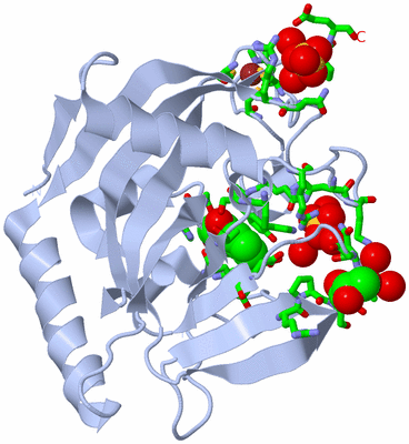 Image Biol. Unit 1 - sites