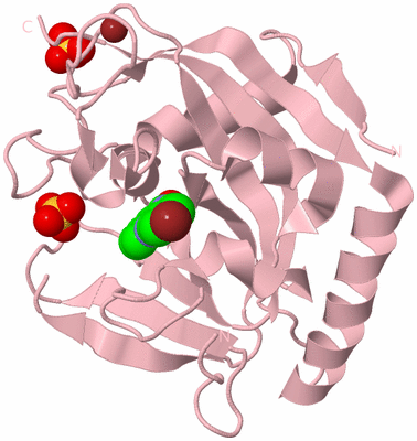 Image Biological Unit 2