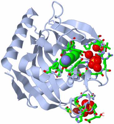 Image Biol. Unit 1 - sites