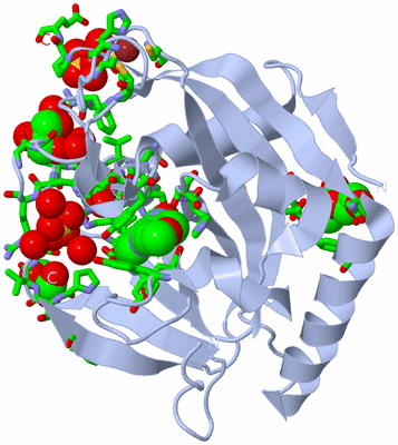 Image Biol. Unit 1 - sites