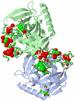 Image Asym. Unit - sites