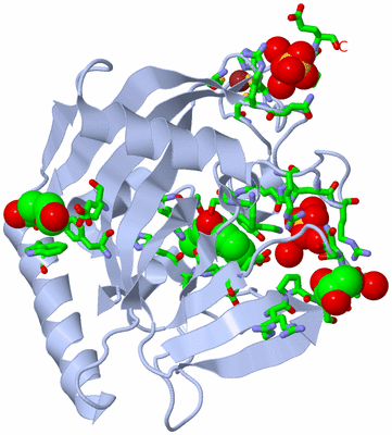 Image Biol. Unit 1 - sites