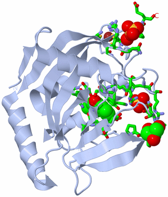 Image Biol. Unit 1 - sites