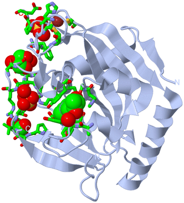 Image Biol. Unit 1 - sites