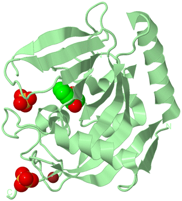 Image Biological Unit 2