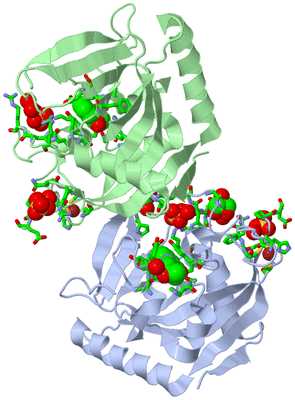 Image Asym. Unit - sites