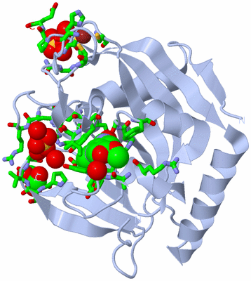 Image Biol. Unit 1 - sites