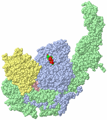 Image Biol. Unit 1 - sites