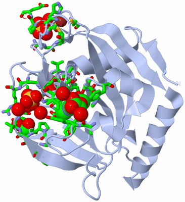 Image Biol. Unit 1 - sites