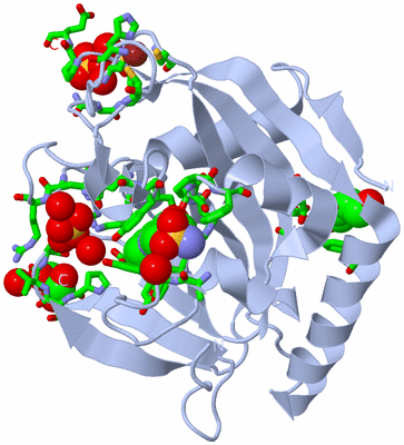 Image Biol. Unit 1 - sites