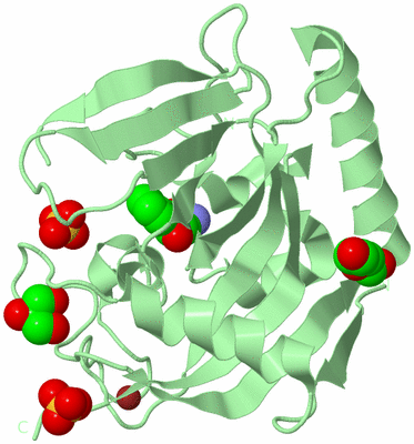 Image Biological Unit 2