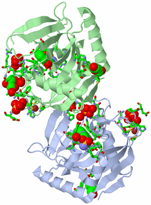 Image Asym. Unit - sites