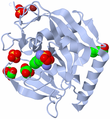 Image Biological Unit 1