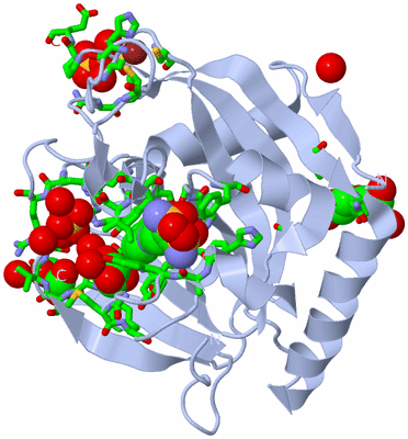 Image Biol. Unit 1 - sites