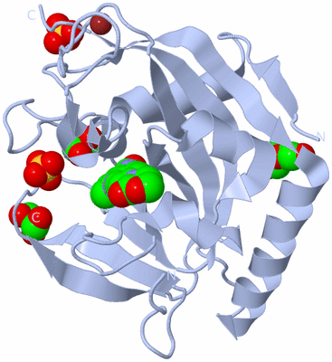 Image Biological Unit 1