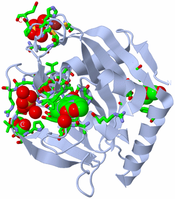 Image Biol. Unit 1 - sites