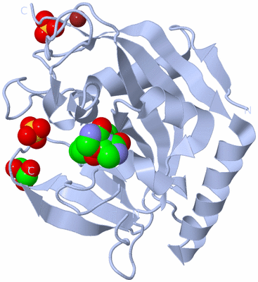 Image Biological Unit 1